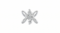 Sunburst Celebration Ring – Silver Moissanite Ring – Myraé