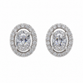 Oval Halo Studs